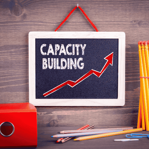 capacity building