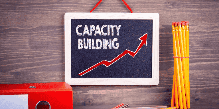 capacity building