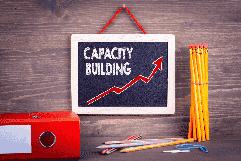 capacity building